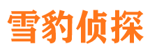 宿松市婚外情调查